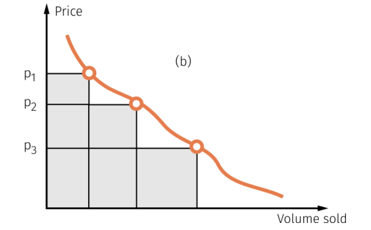 Segmented Price Demand