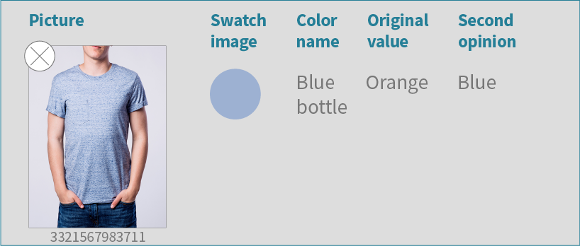 Additional example of image-based attribute verification example with a verification UI, correcting color classification error. 