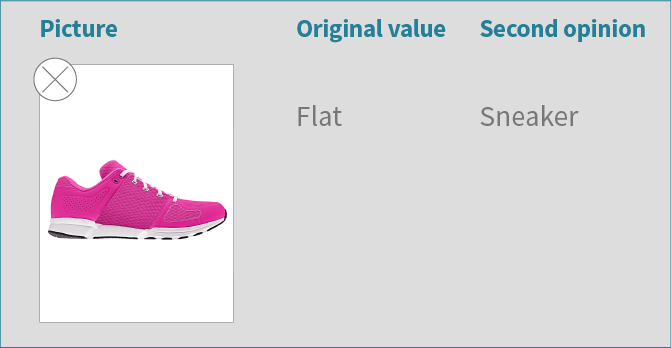 Second example of image-based attribute verification example with a verification UI, correcting women's shoe style classification error. 