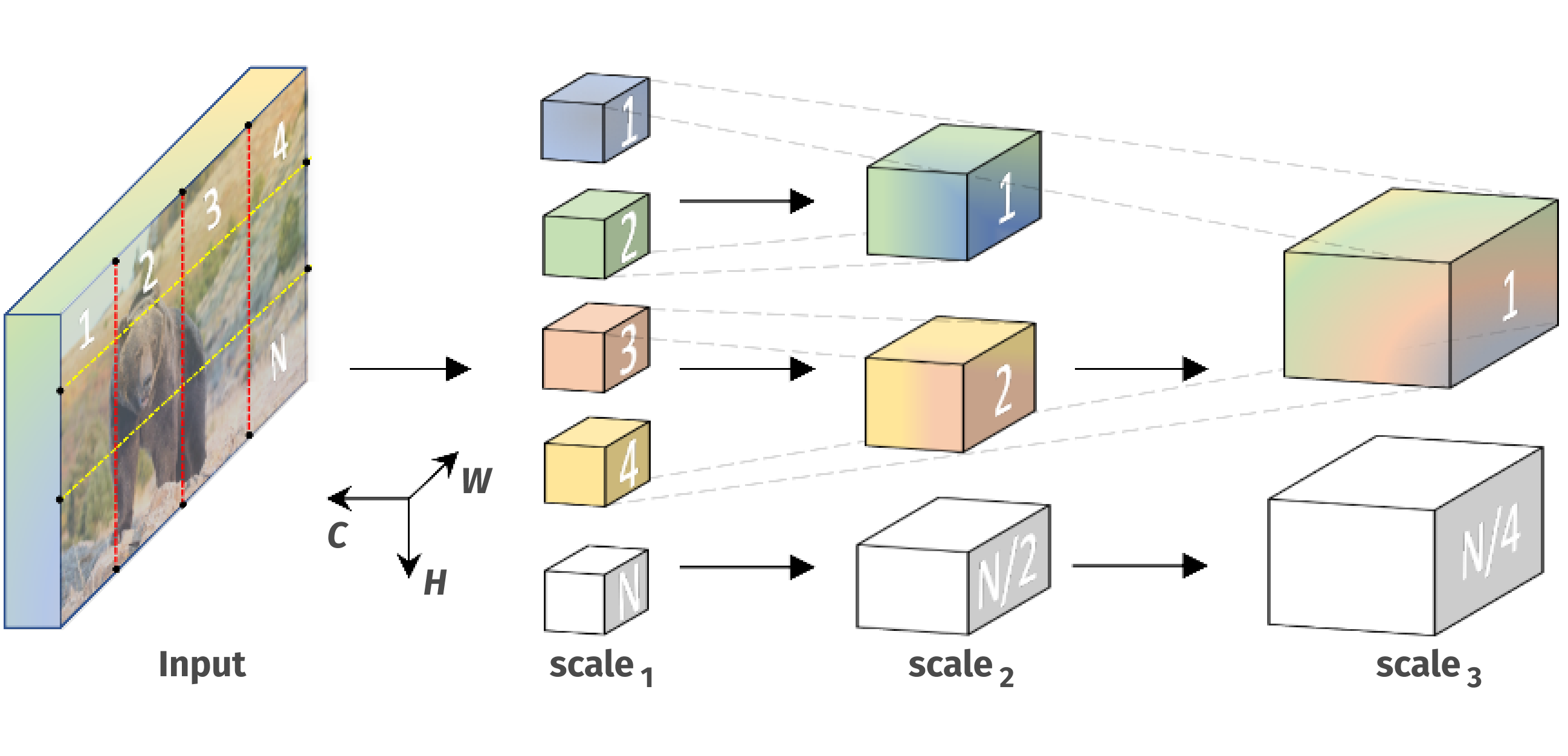 Multiscale Vision Transformers learn a hierarchy from dense (in space) and simple (in channels) to coarse and complex features. Several resolution-channel scale stages progressively increase the channel capacity of the intermediate latent sequence while reducing its length and thereby spatial resolution.