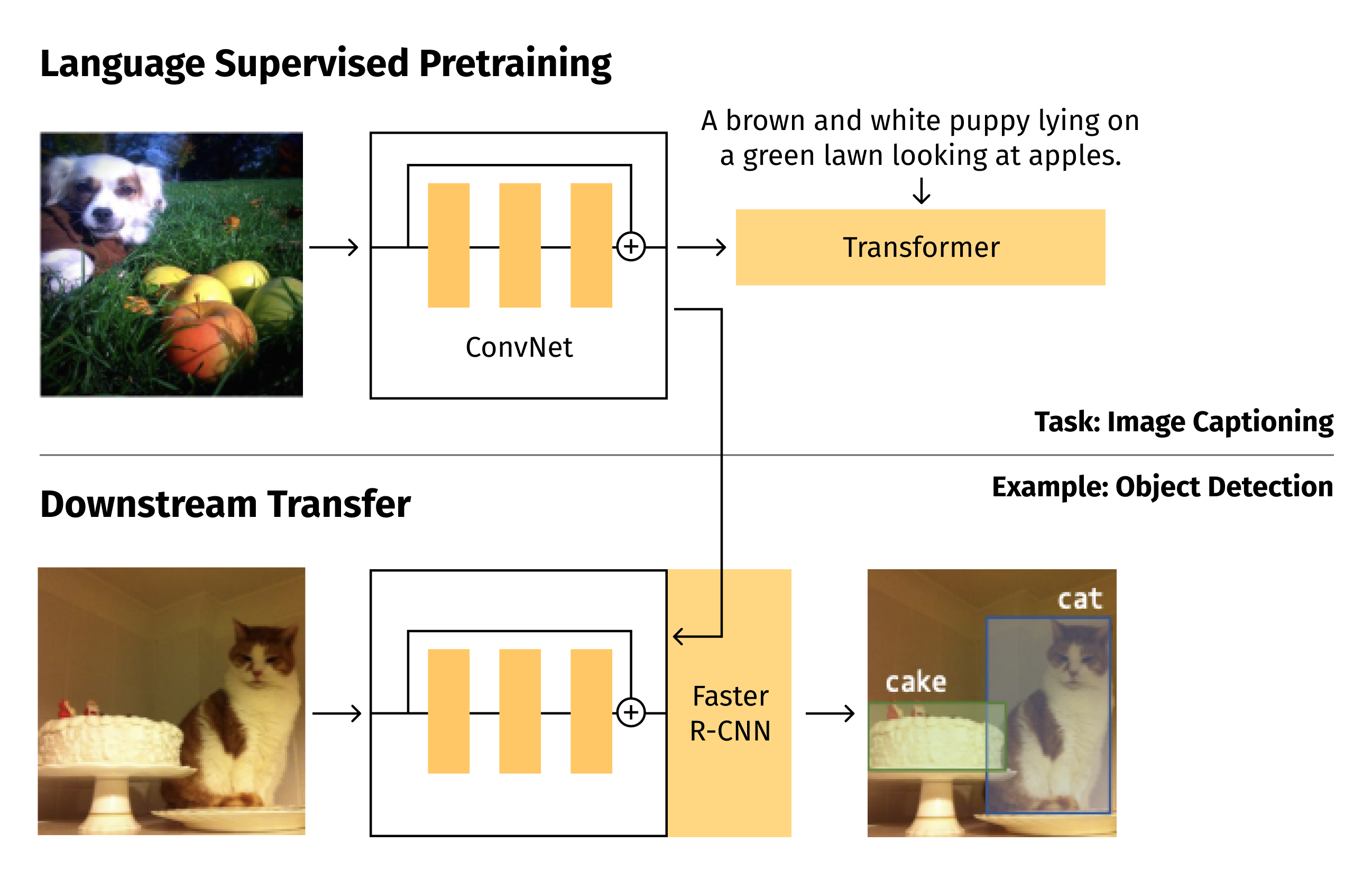 VirTex examples [8]