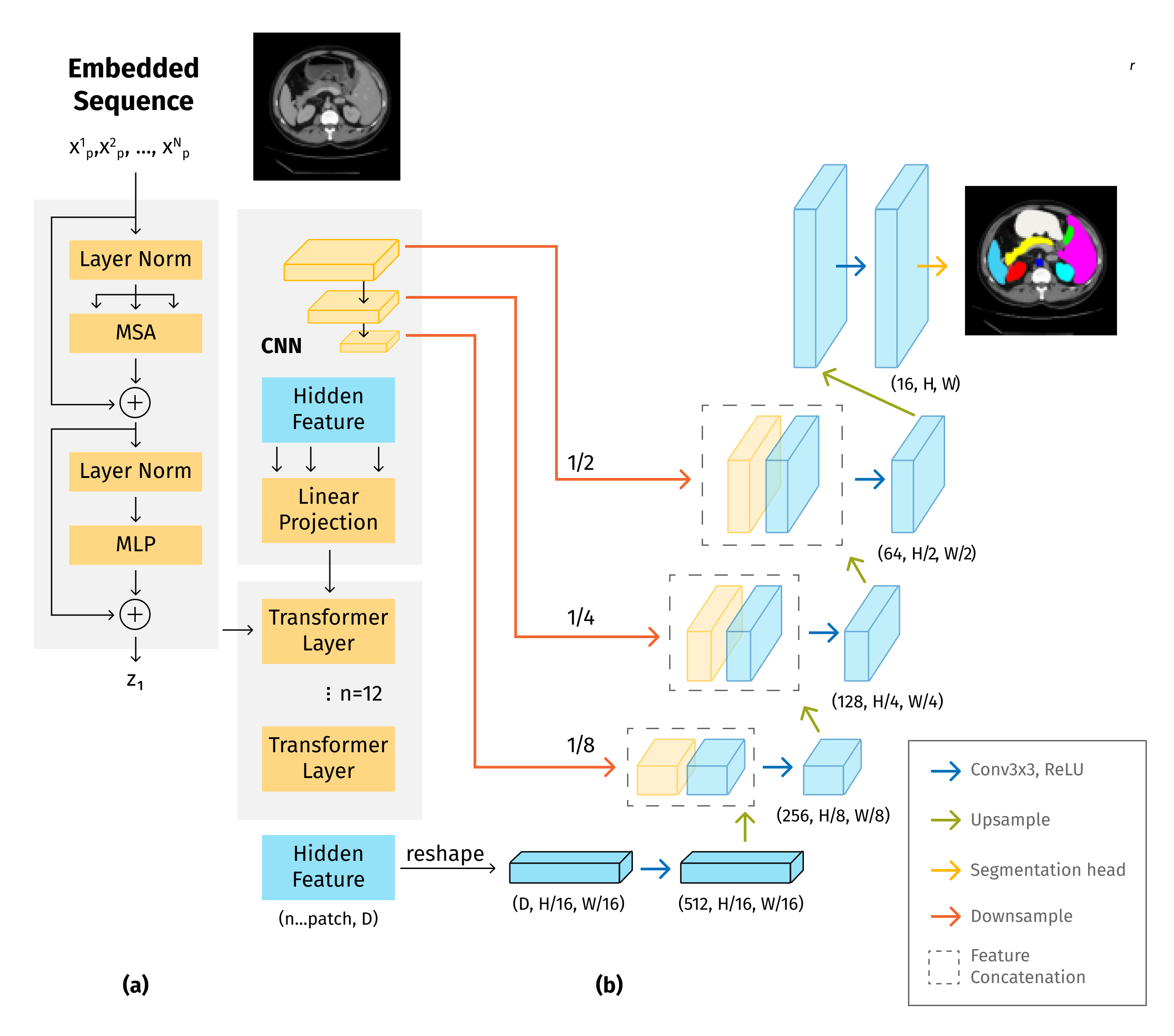 Overview of the framework. (a) schematic of the Transformer layer; (b) architecture of the proposed TransUNet