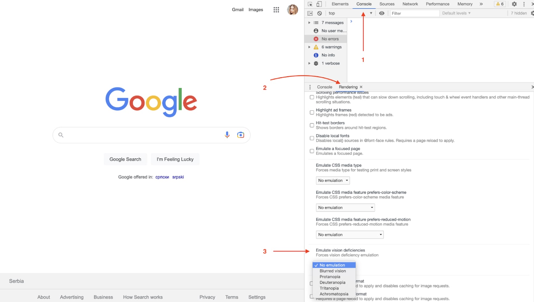 How to emulate vision deficiency to ensure the website is accessible for different users.