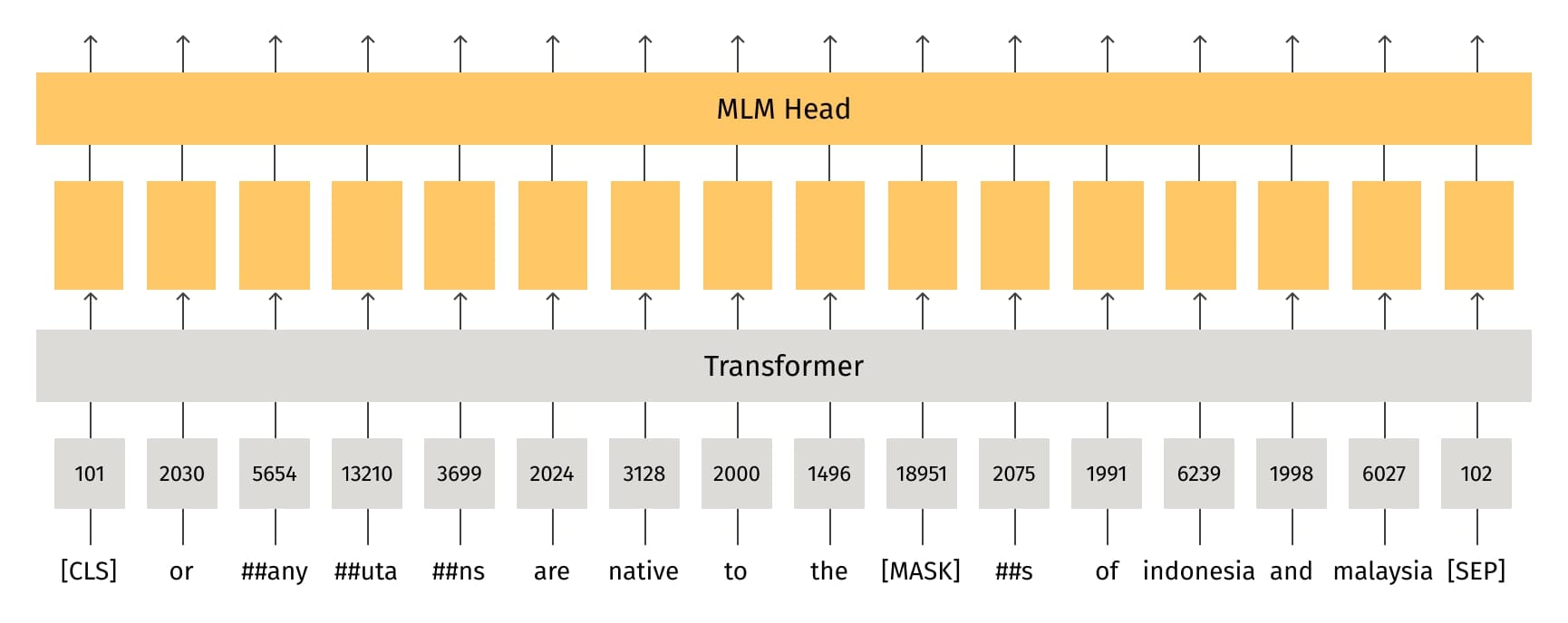 The SPLADE, or SParse Lexical AnD Expansion Model