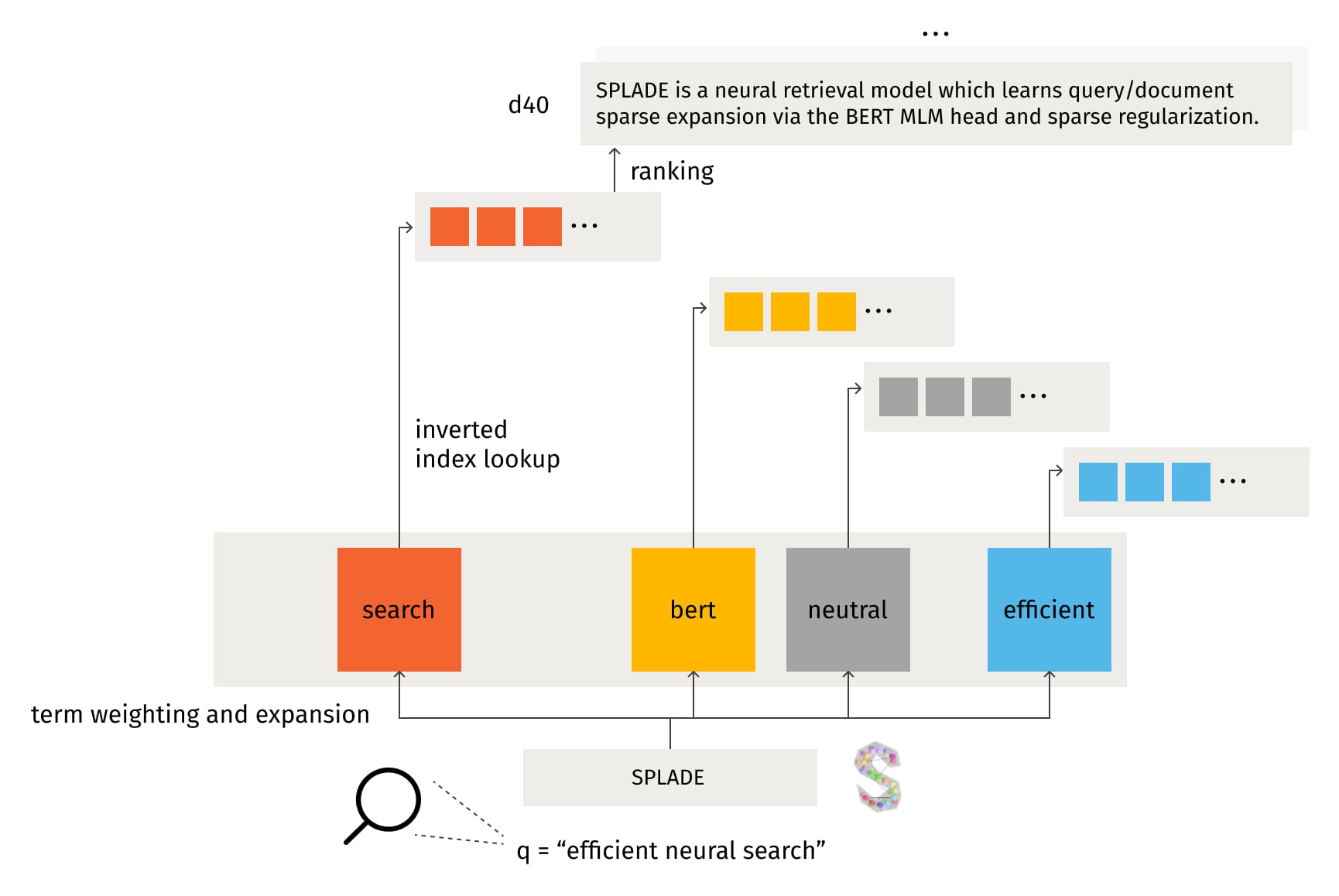 SPLADE term importance ranking